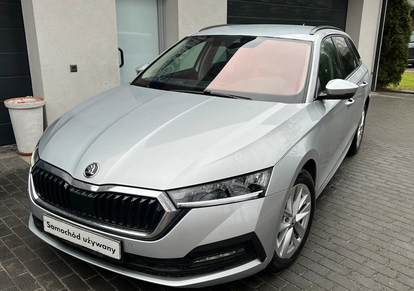 Skoda Octavia cena 84900 przebieg: 19000, rok produkcji 2022 z Rzepin małe 154